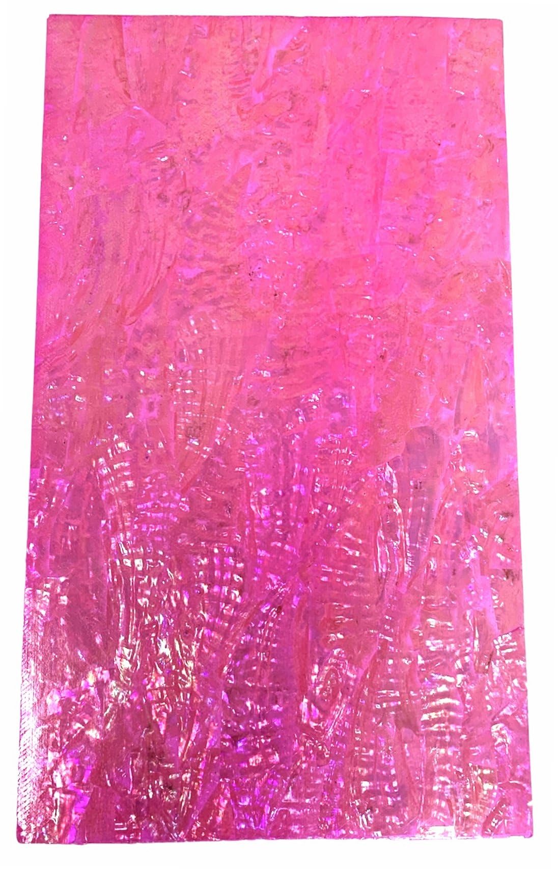 アワビ　シェルシート　120枚セット 楽天市場】あわび シェルシートの通販